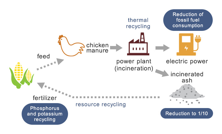 Conceptual Image of a Cyclical Ecosystem (Biomass Power Generation)