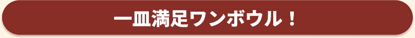 一皿満足ワンボウル！