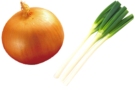 玉ねぎ＋白ねぎ