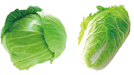 白菜