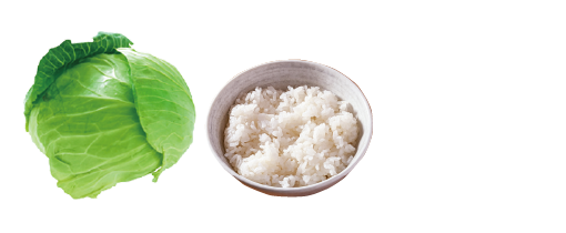 材料画像：キャベツ