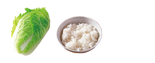 材料画像：白菜 ご飯