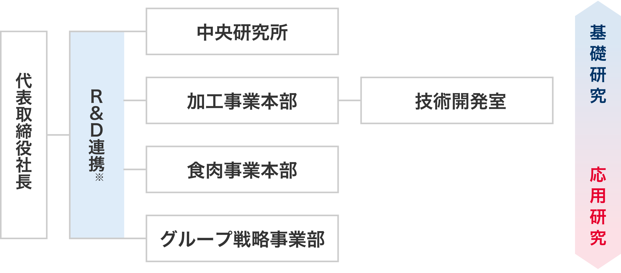 研究開発体制