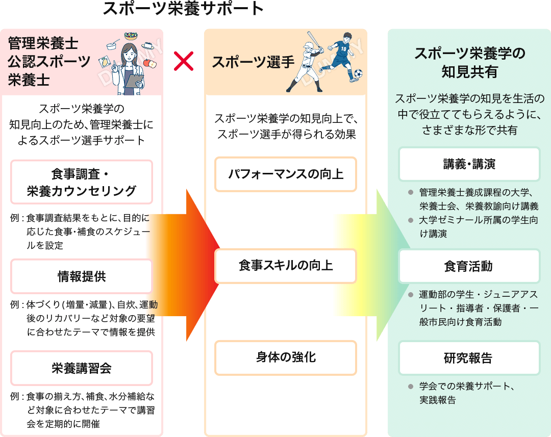 スポーツ栄養サポート