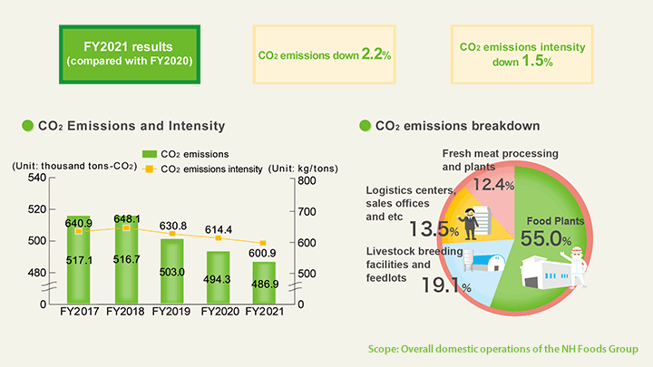 FY2019 results (compared with FY2018)