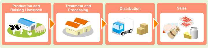 Production and Raising Livestock Treatment and Processing Distribution Sales