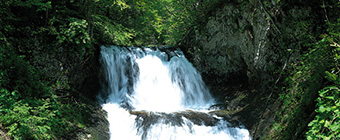 Effective Use of Water Resources