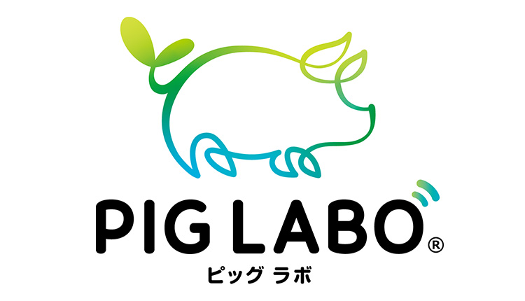 PIG LABO