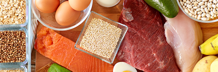 Stable procurement and supply of proteins