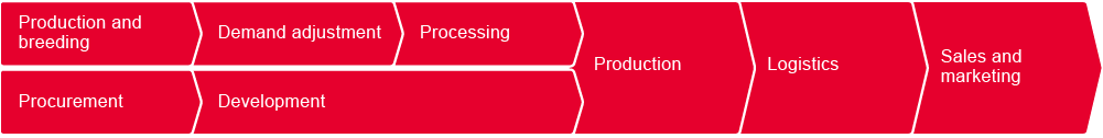 The NH Foods Group value chain