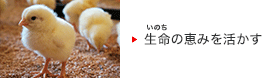 生命の恵みを活かす