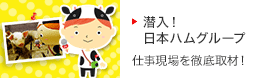 潜入！日本ハムグループ