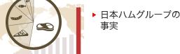 日本ハムグループの事実。
