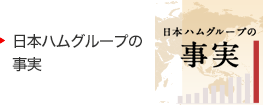 日本ハムグループの事実。