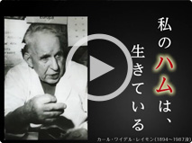 函館カール・レイモン 私のハムは生きている篇