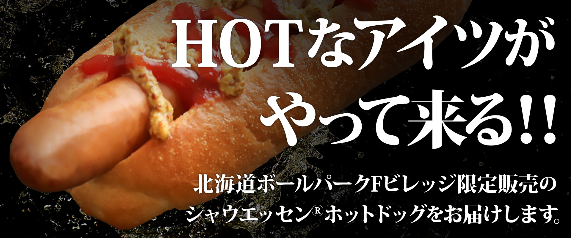 シャウエッセン®ホットドッグキッチンカー特設サイト