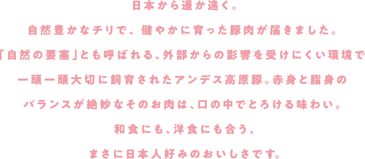 日本から遥か遠く。自然豊かなチリで、健やかに育った豚肉が届きました。「自然の要塞」とも呼ばれる、外部からの影響を受けにくい環境で一頭一頭大切に飼育されたアンデス高原豚。赤身と脂身のバランスが絶妙なそのお肉は、口の中でとろける味わい。和食にも、洋食にも合う、まさに日本人好みのおいしさです。