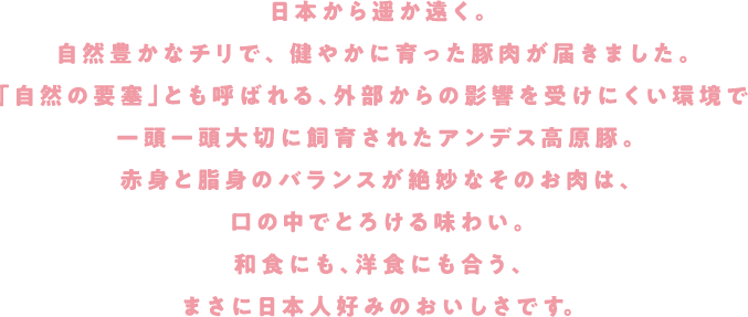 日本から遥か遠く。自然豊かなチリで、健やかに育った豚肉が届きました。「自然の要塞」とも呼ばれる、外部からの影響を受けにくい環境で一頭一頭大切に飼育されたアンデス高原豚。赤身と脂身のバランスが絶妙なそのお肉は、口の中でとろける味わい。和食にも、洋食にも合う、まさに日本人好みのおいしさです。