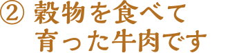 穀物を食べて育った牛肉です
