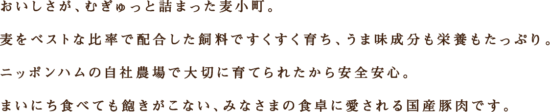 おいしさが、むぎゅっと詰まった麦小町。麦をベストな比率で配合した飼料ですくすく育ち、うま味成分も栄養もたっぷり。ニッポンハムの自社農業で大切に育てられたから安心。まいにち食べても飽きがこない、みなさまの食卓に愛される国産豚肉です。