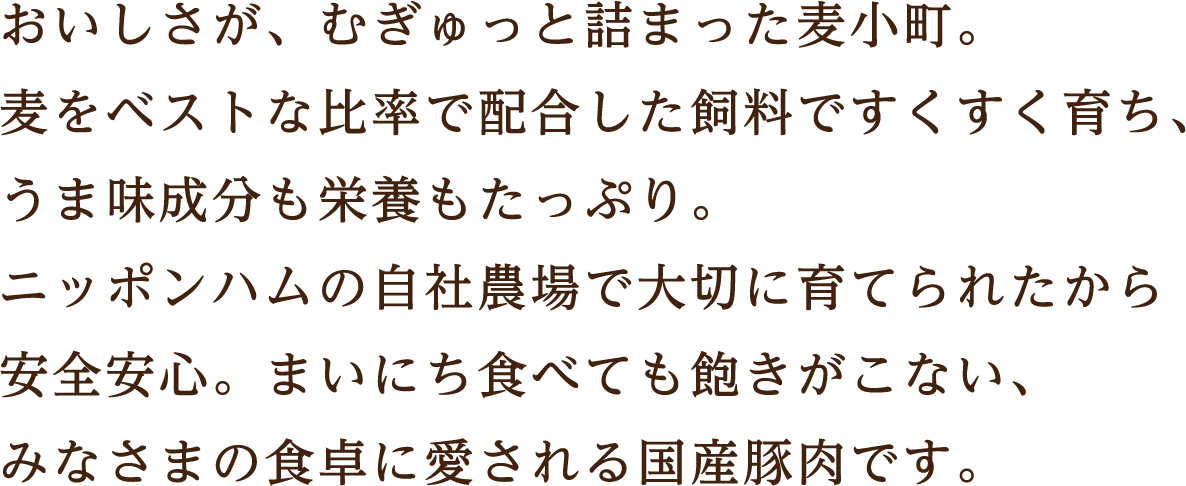 おいしさが、むぎゅっと詰まった麦小町。麦をベストな比率で配合した飼料ですくすく育ち、うま味成分も栄養もたっぷり。ニッポンハムの自社農業で大切に育てられたから安心。まいにち食べても飽きがこない、みなさまの食卓に愛される国産豚肉です。