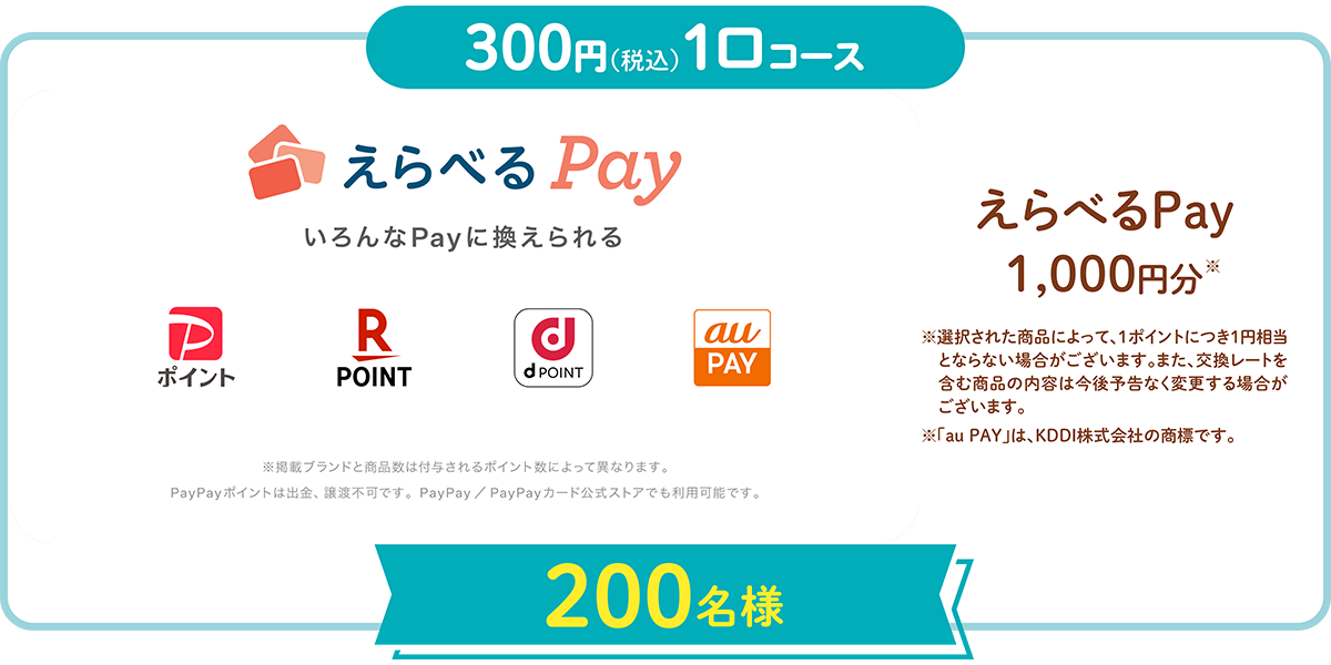 『えらべるPay』 1,000円相当