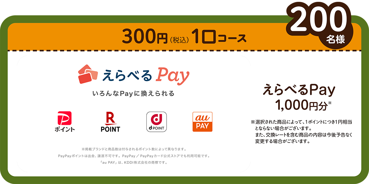 『えらべるPay』 1,000円相当