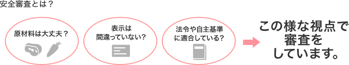 安全審査とは?