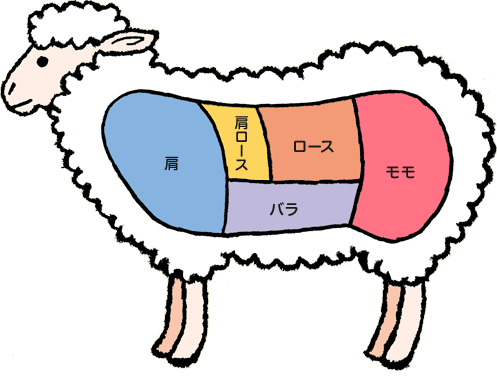 羊肉の部位 もっと知りたい お肉のこと 日本ハム株式会社