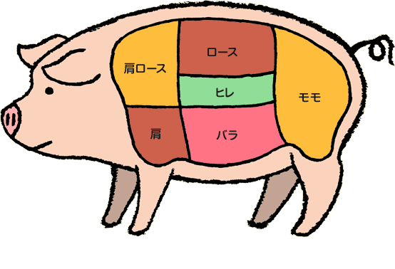 豚肉の部位｜もっと知りたい！お肉のこと｜日本ハム株式会社