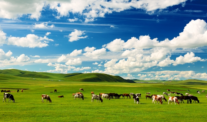 はじめに知る日本ハム