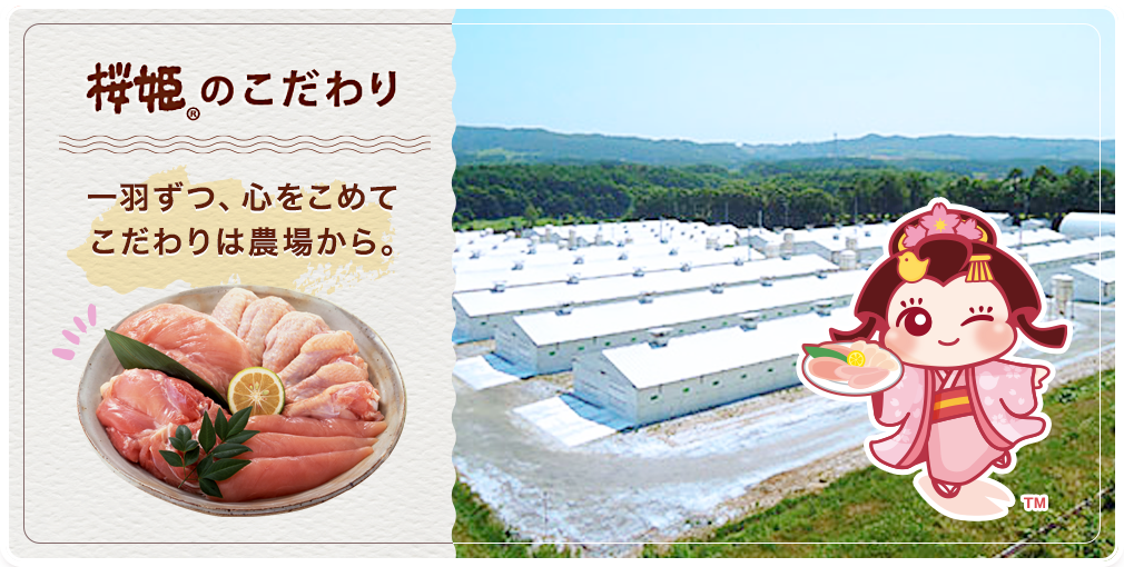 2022モデル 桜姫様専用ページです econet.bi