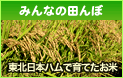 東北日本ハム　みんなの田んぼ