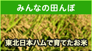 東北日本ハム　みんなの田んぼ